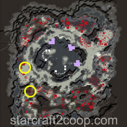 Dead of Night Biomass Farming Location