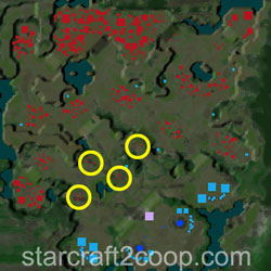 Mist Opportunities Essence Farming Order