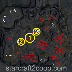 Chain of Ascension Protoss Essence Farming Order