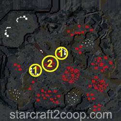 Chain of Ascension Terran Essence Farming Order