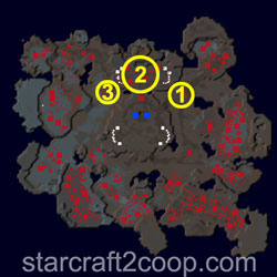 Cradle of Death Zerg Essence Farming Order