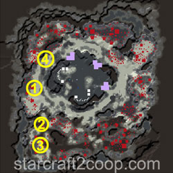 Dead of Night Zerg Essence Farming Order