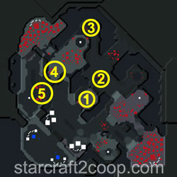 Lock & Load Terran Essence Farming Order