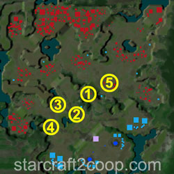 Mist Opportunities Zerg Essence Farming Order