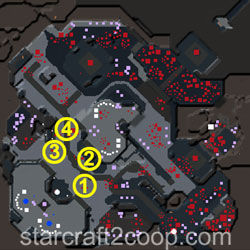 Part & Parcel Zerg Essence Farming Order