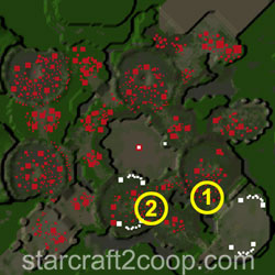 Scythe of Amon Zerg Essence Farming Order