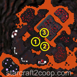 Void Thrashing Essence Farming Order