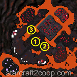 Void Thrashing Zerg Essence Farming Order