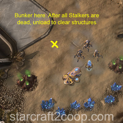 Player 1 Fast Expand on Malwarfare