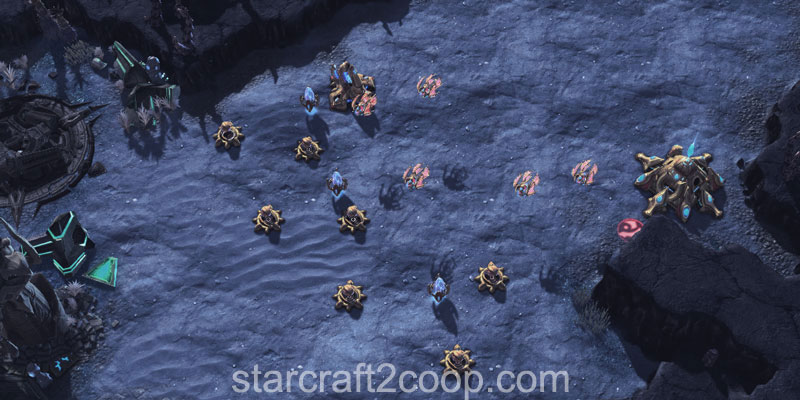 basedroplong Picture